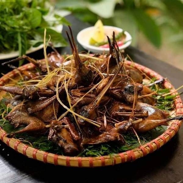 Khám Phá Món Ăn Đặc Sản Chim Ngói Tiên Yên Cùng Du Lịch Hải Hà