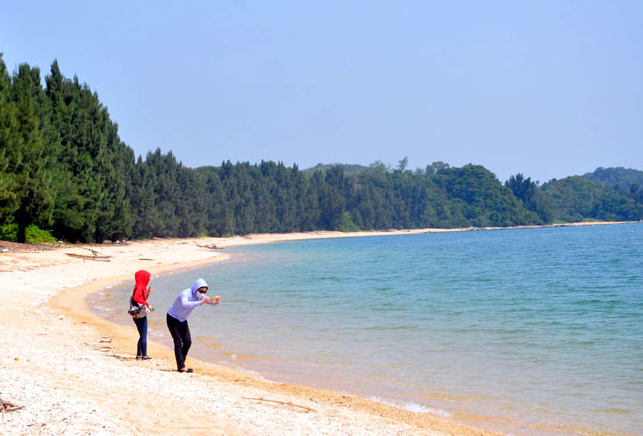 Khám Phá Vẻ Đẹp Nguyên Sơ Của Bãi Đầu Rồng Trên Đảo Cái Chiên