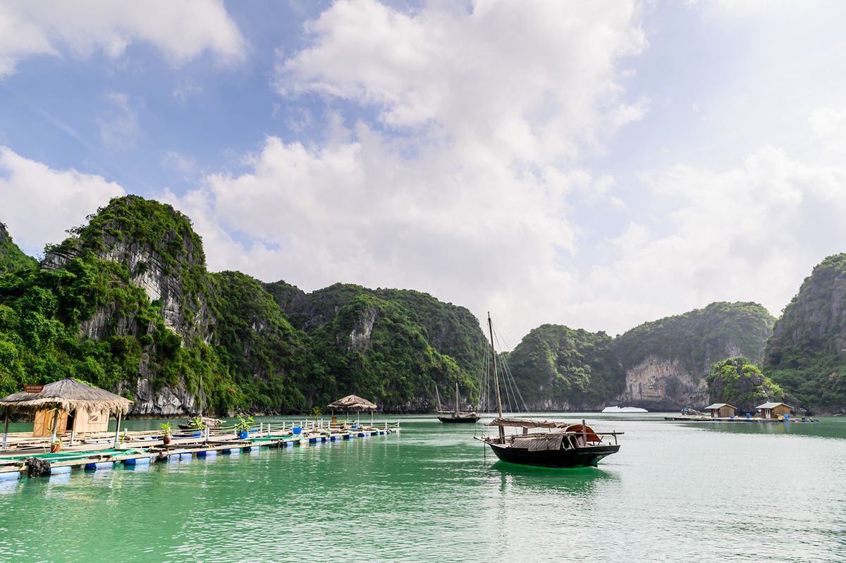 Các hoạt động du lịch thú vị tại vịnh Bái Tử Long: Khám phá vùng vịnh còn “ẩn mình” của Quảng Ninh