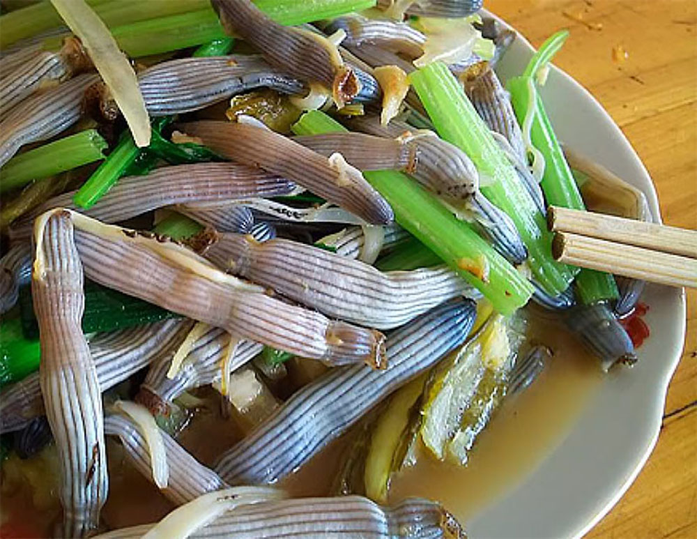 Các món đặc sản phải thử ở Hạ Long: Hành trình khám phá ẩm thực “chạm yêu” của đất biển