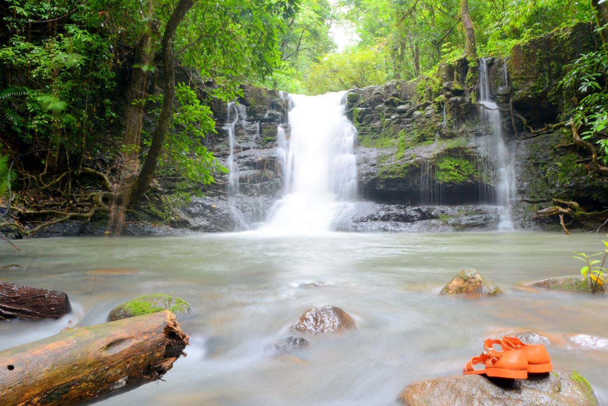 Du lịch sinh thái tại vườn quốc gia Ba Mun: Trải nghiệm xanh giữa lòng Quảng Ninh