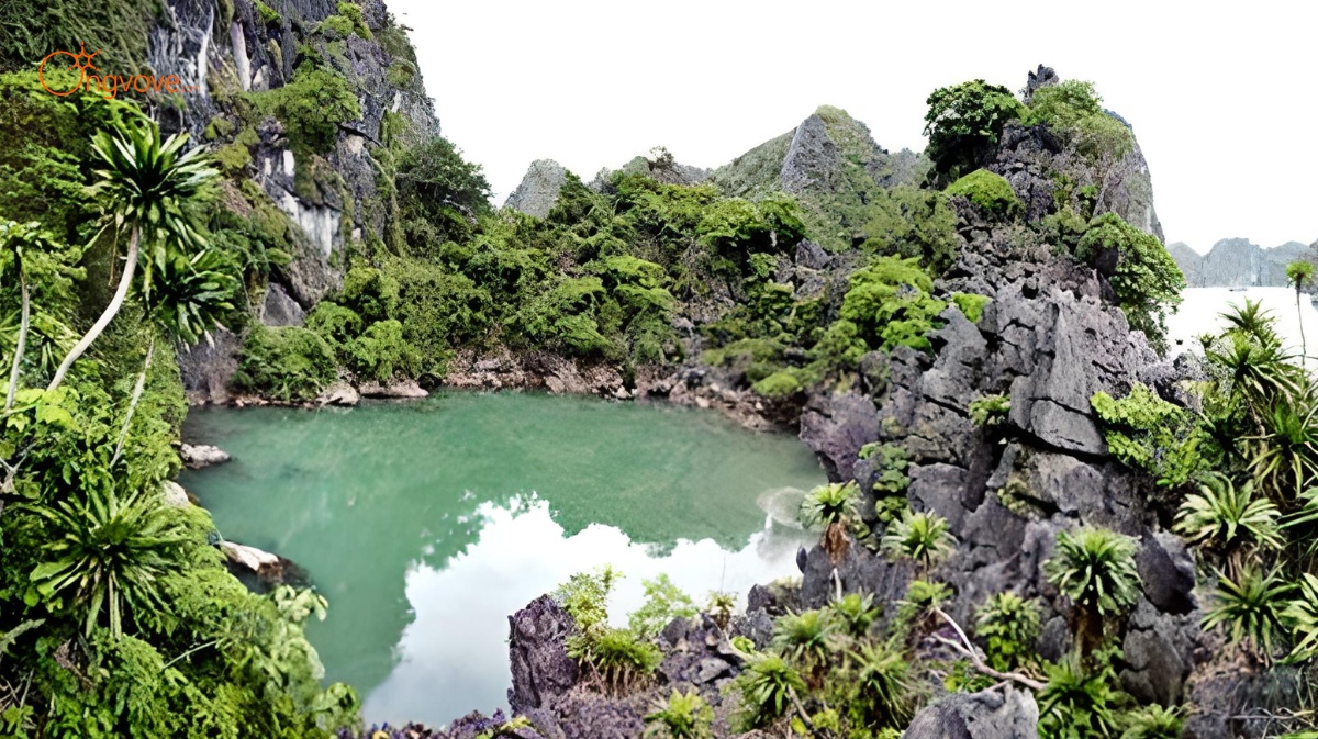 Du lịch sinh thái tại vườn quốc gia Ba Mun: Trải nghiệm xanh giữa lòng Quảng Ninh