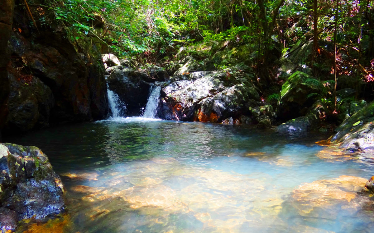Du lịch sinh thái tại vườn quốc gia Ba Mun: Trải nghiệm xanh giữa lòng Quảng Ninh