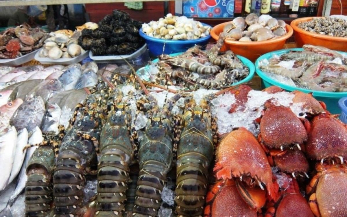 Kinh nghiệm du lịch đảo Quan Lạn: Hành trình chạm đến thiên đường biển Quảng Ninh