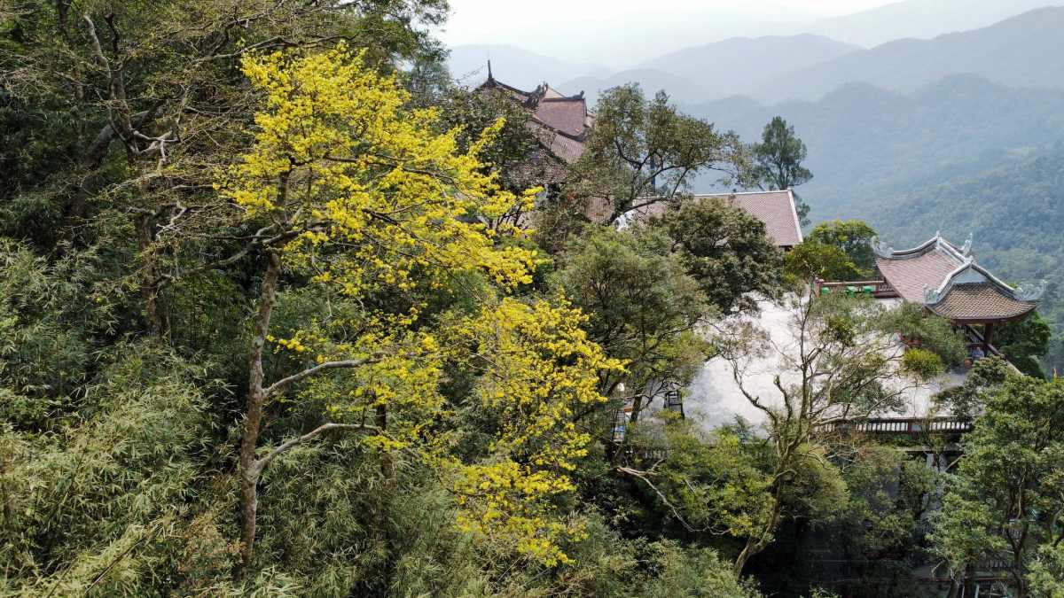 Trekking núi Yên Tử cho những người đam mê: Một hành trình khám phá hấp dẫn dành cho tín đồ xê dịch